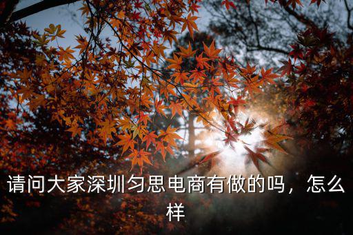 深圳桑拿電商怎么樣,深圳知名電商公司墨燦倒閉