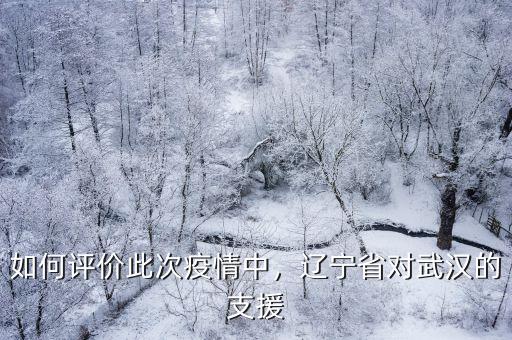 如何評(píng)價(jià)此次疫情中，遼寧省對(duì)武漢的支援