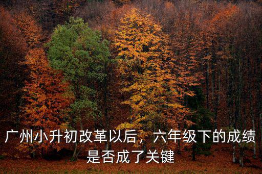 廣州小升初分數(shù)220分怎么辦,廣州小升初改革以后
