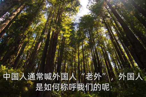 中國人通常喊外國人“老外”，外國人是如何稱呼我們的呢