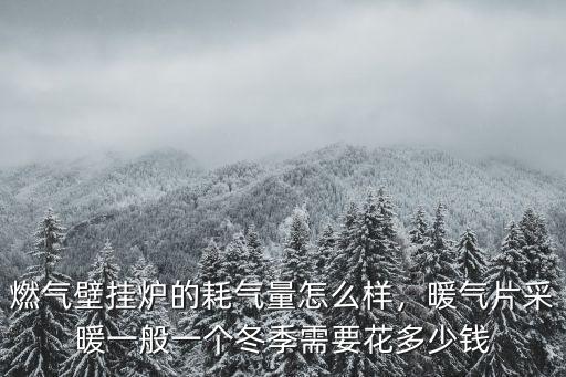 燃氣壁掛爐的耗氣量怎么樣，暖氣片采暖一般一個冬季需要花多少錢