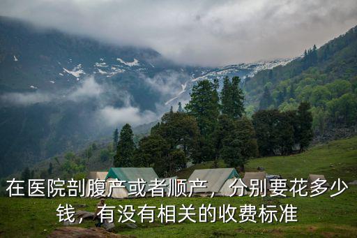 宿遷醫(yī)院剖腹產(chǎn)多少錢(qián),在醫(yī)院剖腹產(chǎn)或者順產(chǎn)