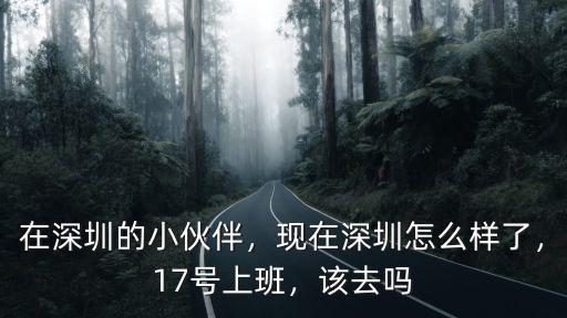 深圳嘉友智控怎么樣,現在深圳怎么樣了