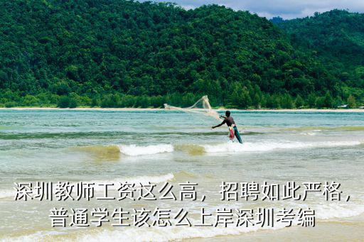 深圳怎么才能入編,普通學(xué)生該怎么上岸深圳考編