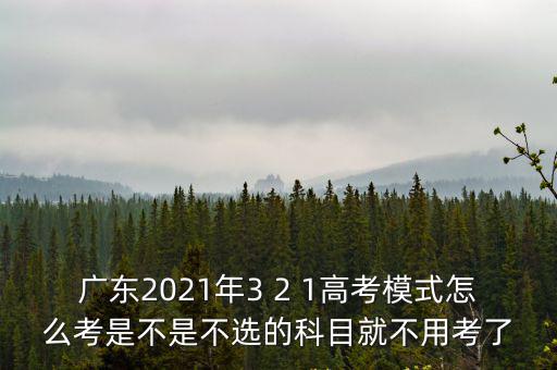 2018年廣東高考怎么選考,廣東新高考18年落地