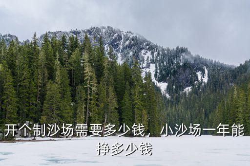開個制沙場需要多少錢，小沙場一年能掙多少錢