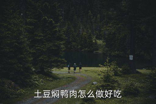 東莞燜鴨怎么做,土豆燜鴨肉怎么做好吃