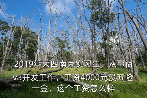 南京的工資一般多少2019年,2019年大四南京實習(xí)生