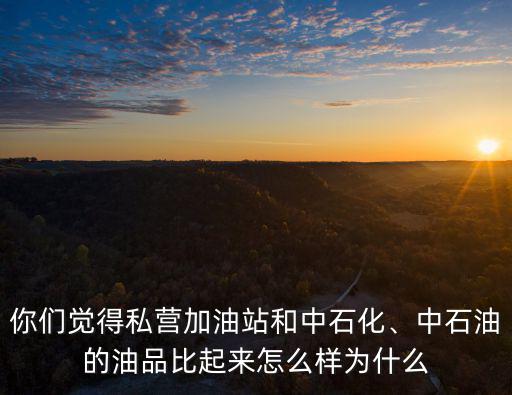 你們覺得私營加油站和中石化、中石油的油品比起來怎么樣為什么