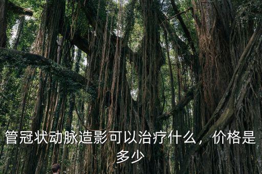 南通冠狀動脈造影報銷多少錢,管冠狀動脈造影可以治療什么