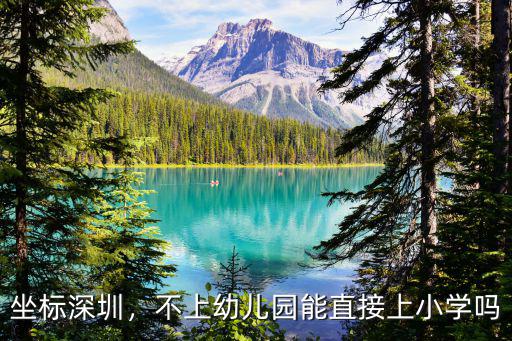 坐標深圳，不上幼兒園能直接上小學嗎