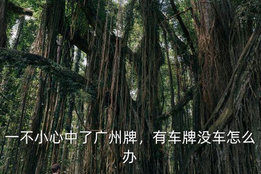 搖到廣州牌沒車怎么辦,一不小心中了廣州牌
