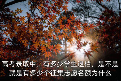 高考錄取中，有多少學(xué)生退檔，是不是就是有多少個(gè)征集志愿名額為什么