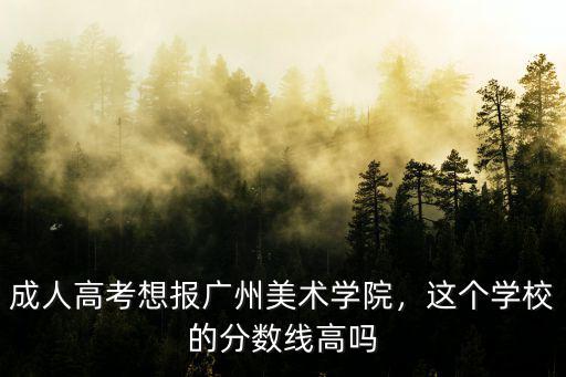 廣州美術學院怎么考成人高考,廣美成人高考專升本要考什么