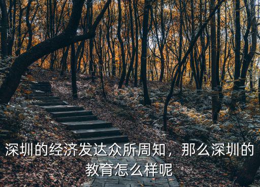 深圳教育質量怎么樣,深圳的經濟發達眾所周知