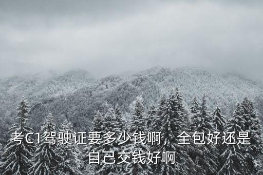 考C1駕駛證要多少錢啊，全包好還是自己交錢好啊