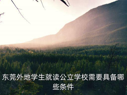 東莞外地學生就讀公立學校需要具備哪些條件