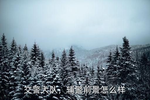 深圳巡警大隊工資怎么樣,交警工資怎么樣