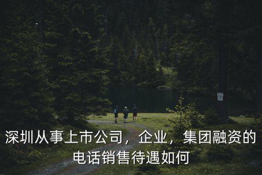 深圳中電銷售怎么樣,深圳實(shí)體銷售怎么樣