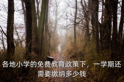 南通小學(xué)學(xué)費(fèi)多少錢(qián)一個(gè)月,現(xiàn)在上小學(xué)一年級(jí)要交多少錢(qián)