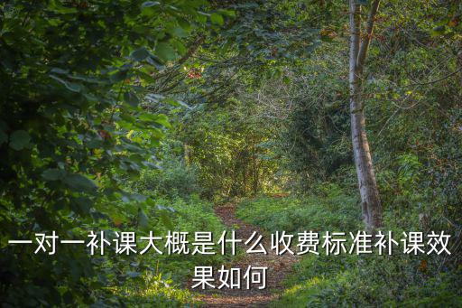 揚州初三一對一費用大概多少,初三學生一對一補課