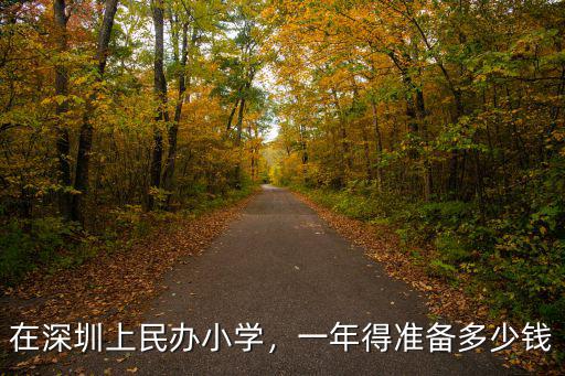 深圳民辦小學插班怎么進學校,在深圳上民辦小學