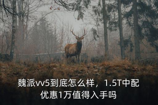 魏派vv5到底怎么樣，1.5T中配優惠1萬值得入手嗎