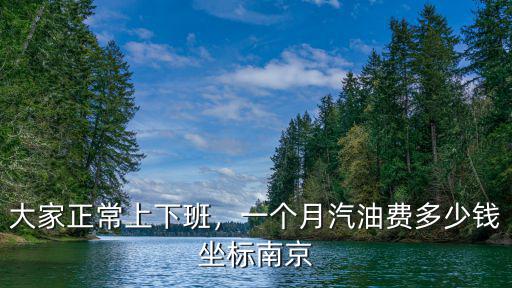 大家正常上下班，一個月汽油費多少錢坐標南京