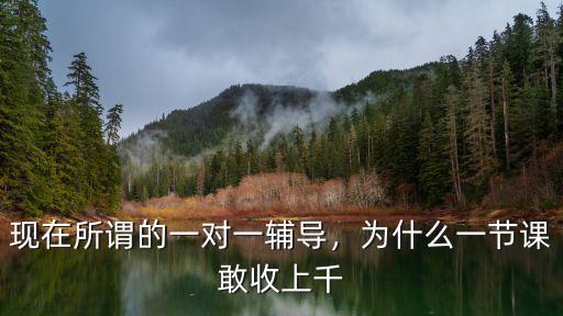 現在所謂的一對一輔導，為什么一節課敢收上千