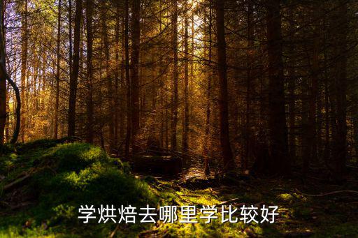 德陽哪里學烘焙,學烘焙去哪里學比較好