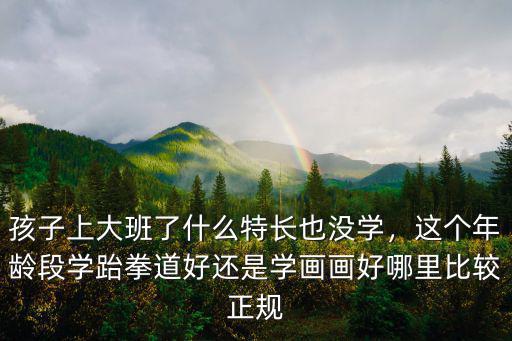 孩子上大班了什么特長也沒學，這個年齡段學跆拳道好還是學畫畫好哪里比較正規
