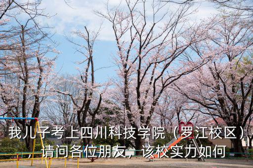 四川工業科技學院地址在哪里,請問四川工業科技學院怎么樣