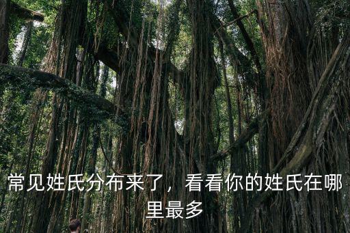 洛陽高村在哪里,在洛陽玩住在哪里最方便