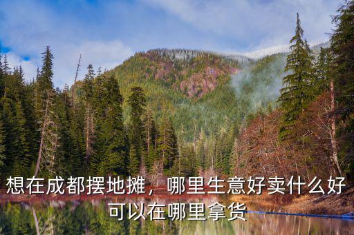 成都雙楠哪里可以擺地攤,請問成都哪里可以擺地攤