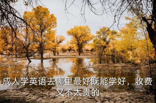 成人學(xué)英語去哪里最好既能學(xué)好，收費(fèi)又不太貴的