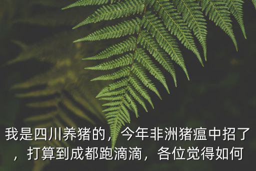 成都周邊哪里可以養豬,成都哪里可以買到小豬