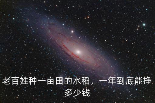 江蘇農村水稻田多少錢一畝,一年到底能掙多少錢