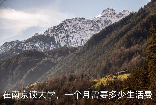 南京新街生活費多少,一個月需要多少生活費