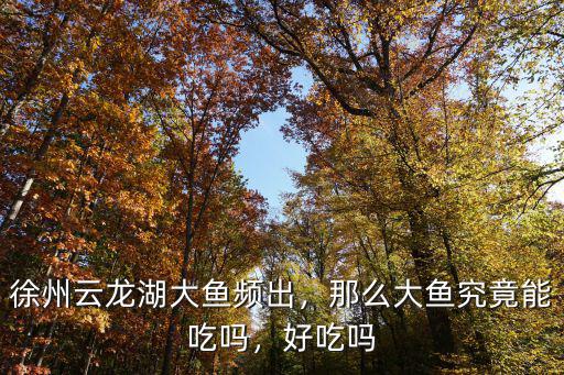 徐州云龍湖大魚頻出，那么大魚究竟能吃嗎，好吃嗎