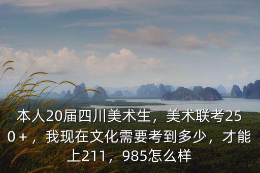 本人20屆四川美術(shù)生，美術(shù)聯(lián)考250＋，我現(xiàn)在文化需要考到多少，才能上211，985怎么樣