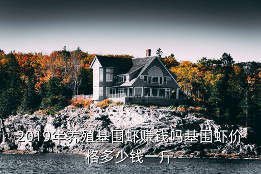 蘇州活基圍蝦批發(fā)多少錢一斤,基圍蝦價(jià)格多少錢一斤