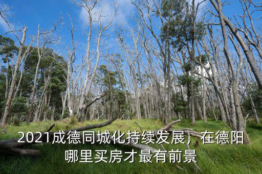 德陽大悅城在哪里,德陽的市中心在哪里