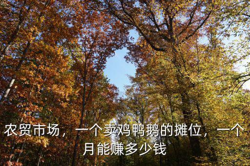 瀘州哪里有賣雞鴨鵝,市場里常有雞鴨賣