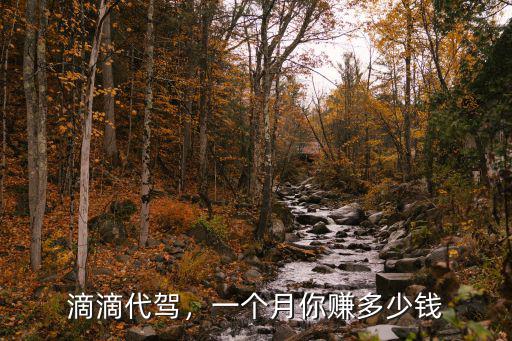 滴滴代駕，一個月你賺多少錢