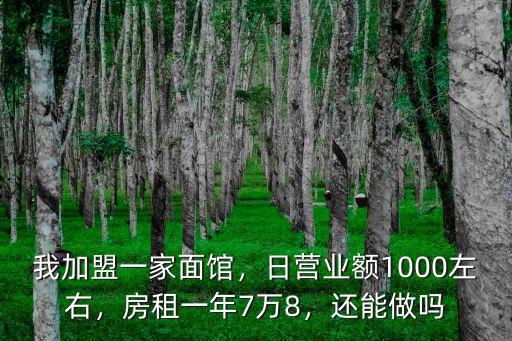 南京一家面館一天營業(yè)額有多少,我加盟一家面館
