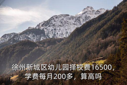 徐州新城區幼兒園擇校費16500，學費每月200多，算高嗎