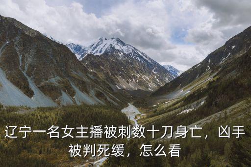 遼寧一名女主播被刺數十刀身亡，兇手被判死緩，怎么看
