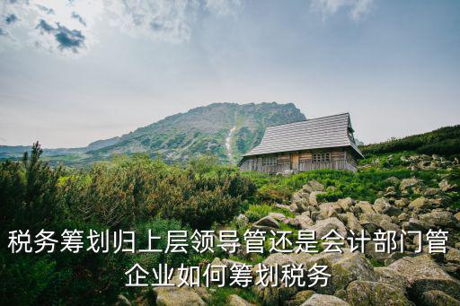 內江并購稅務籌劃哪里有,稅務籌劃有幾種