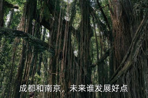 成都未來哪里發(fā)展好,成都哪個(gè)區(qū)的發(fā)展比較好