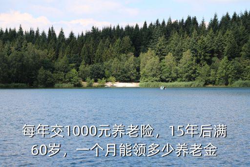 南京15年基礎(chǔ)養(yǎng)老金多少,一個(gè)月能領(lǐng)多少養(yǎng)老金